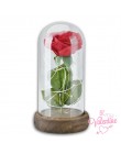 Precio más bajo La Bella y La Bestia flores artificiales rosa con luz LED Base de madera para regalos de Navidad de San Valentín