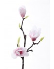 Rama de Magnolia de seda 3D flores artificiales flor falsa de alta calidad para decoración para bodas accesorio de fiesta de dec
