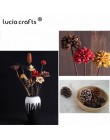 Escayola 20 unids/lote tamaño aleatorio flores secas naturales cascarón hecho a mano caja de caramelos navideña decoración de bo