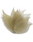 Lúcia artesanías aproximadamente 6,5*3 cm opción multicolor hojas de esqueleto Natural para DIY 12 unids/lote C0701