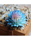 Flor suculenta Artificial realista decoración del hogar Jardín de Plantas de PVC miniatura de Aloe Cactus DIY flor decorativa pa